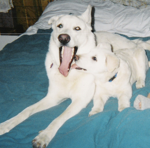 Aslan and Tucker - Happy Daddy