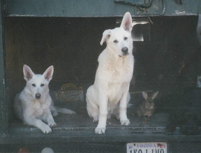Aslan (Oz) in center, with Sophia and bunny