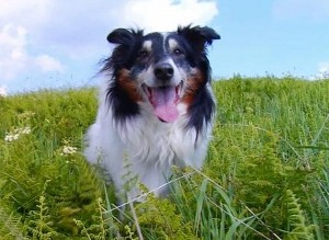 Mitch on the mountain in Coming Home