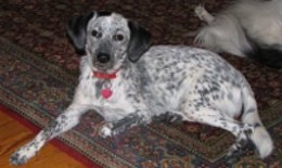 Gracie teenager