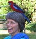 Linda and Wild Friend