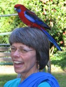 Linda and wild parrot