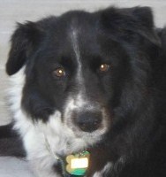 Maggie older - Photo by Mary Lou and Paul Gibson