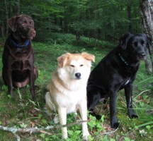 Sara with Lucy and Maddie - Photo by Lee B. Hatling