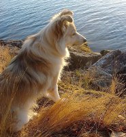 Buffy - Photo by Bill Weaver