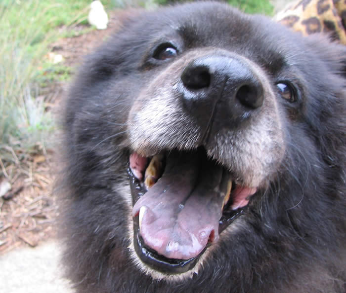 Happy Bea - photo by Linda McLean