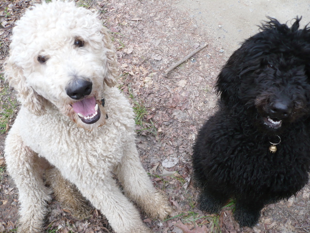 Floyd and Isabelle