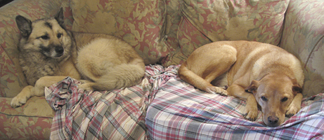 Anna and Charley - photo by Julie Parker